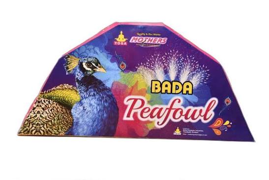 PEACOCK BIG